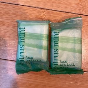 2 citrus mint individually wrapped soaps